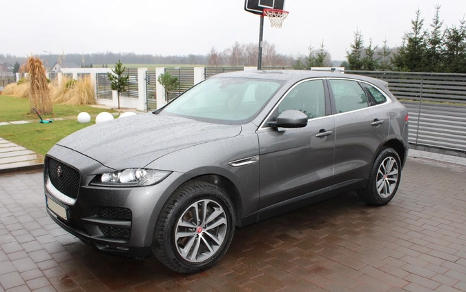 Jaguar F-Pace cena 80000 przebieg: 139000, rok produkcji 2017 z Łasin małe 596